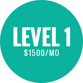 level1