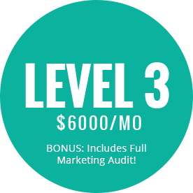 level3